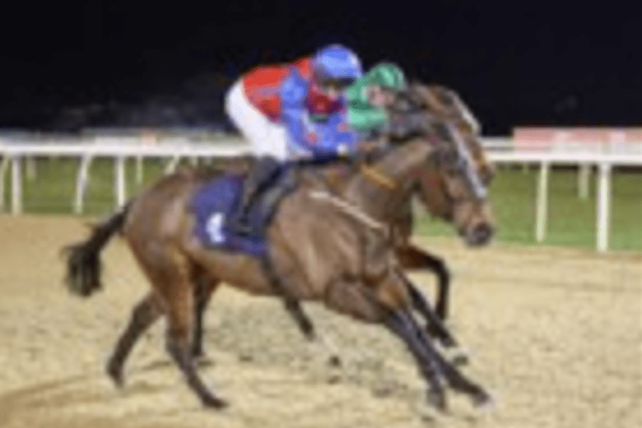 Newcastle Win for SEESAWING