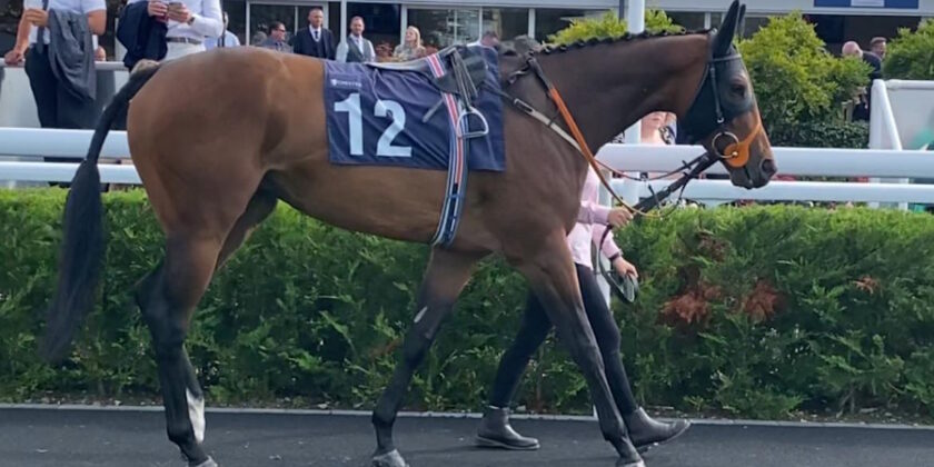 Hat Trick Win for Legal Reform