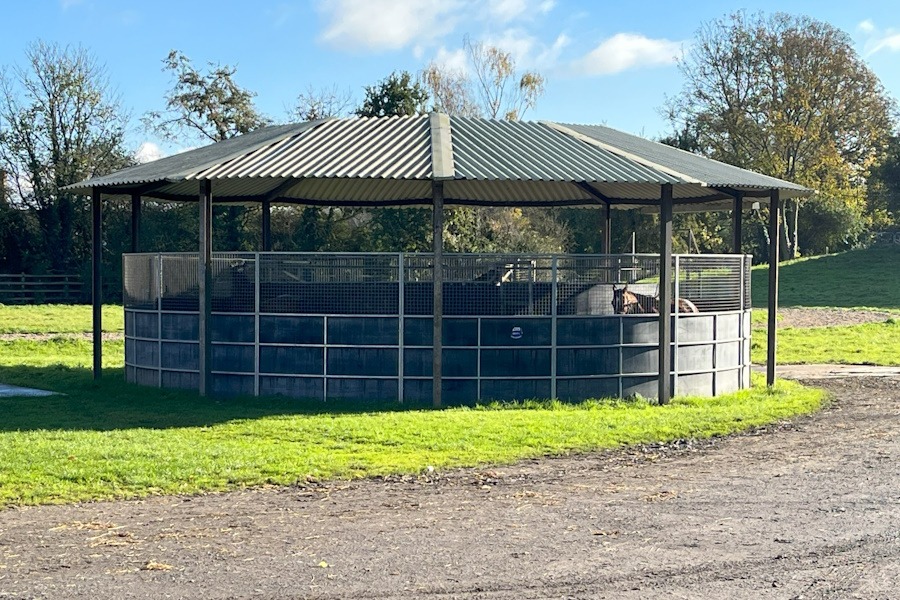 Covered Horse Walker