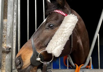 Newcastle Win for BROXI