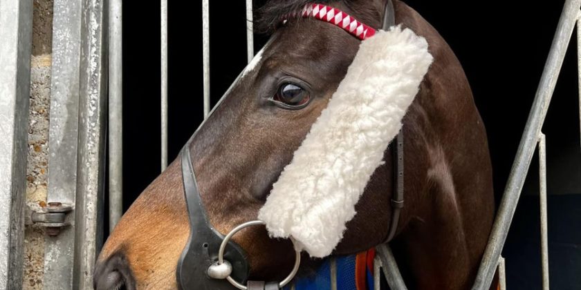 Newcastle Win for BROXI