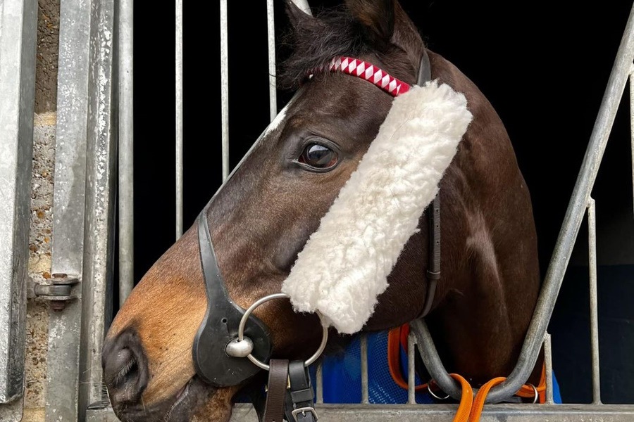 Newcastle Win for BROXI