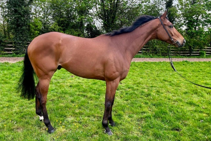 FOR SALE: STAR OF ST JAMES